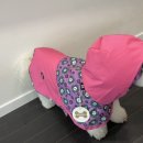 크로바세탁 이미지