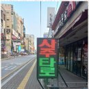 타로상담사 자격증반 | 부적 이야기 숲에서 발견한 나만의 위로의 순간