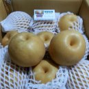 재원농장 이미지