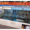 싱싱민물장어세상 이미지