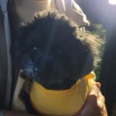 최가소원 이미지