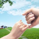 (주)케이팜 이미지