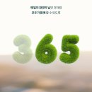 매일환경 이미지
