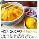 벌꿀호텔 | 이랜드 여의도 켄싱턴호텔 망고빙수 벌꿀까지 유명한 호텔빙수 먹은 후기