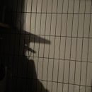 지극히 개인적인 별장 이미지