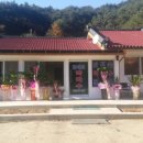 인제오락실 이미지