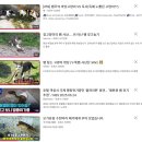 렙타일케이지 | 국내 대표 파충류 박람회 렙타일페어 군산 방문 후기 (정브르, 아웃사이더 실물 영접)