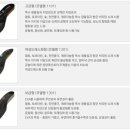 풋테크 이미지