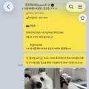 포포픽스 네이버블로그