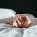 유일학원 이미지