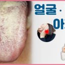 달이유통