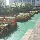 간호박사네요양원 네이버블로그
