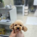 마음이네 멍발소 이미지