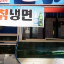 심스수족관 네이버블로그