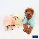 Dino Peach 이미지