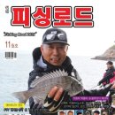 피싱로드 네이버블로그