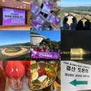 문화로 | 2024 동서화합 영호남 문화로투어 후기