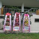 법수면공설운동장 이미지