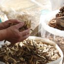 돌곶이한의원 이미지