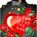 개인(용달)화물 이미지