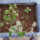 도천농장 이미지