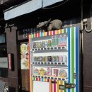 마도 | 대마도 히타카츠 맛집 마도 MADO 식사 후기