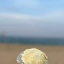 금강산수산횟집 이미지