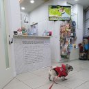 애니웰 동물병원 이미지