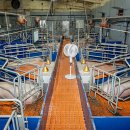 펠릭스팜 이미지