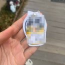 꽃무지풀무지유치원 이미지