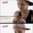 알고파 이미지