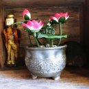 통큰노가리 이미지