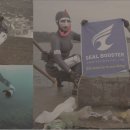 팰리스텔 이미지