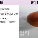 김옥순 농장 이미지