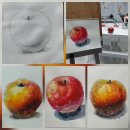 목향초등학교 | [불로동미술] 신검단초등학교 고학년 중학생 미술 특강 후기｜소묘·수채화 기본기 수업분위기 공유...