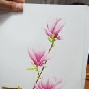 전자매아틀리에 이미지