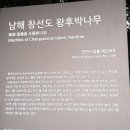 남해-299 이미지