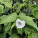 혜화동로터리 | 【서울 역사 탐방】 한양도성 혜화동 전시안내센터 : 옛 서울시장 관사에서 만나는 시간 여행