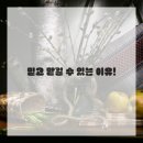 화성기름집 이미지