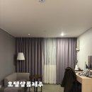 샬롬목장 | [제주/공항] 제주공항근처 방이 넓고 깔끔한 재방문한 호텔 추천 디럭스 더블룸 후기 :: 호텔샬롬제주