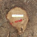 월남전 참전 기념탑 이미지