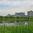 상동호수공원 이미지
