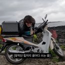 베스트모터스 이미지
