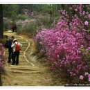 산책 E&D 이미지