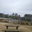 신기목장 이미지