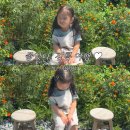 강릉김씨묘역 | 아기랑 강릉 1박2일 가족여행 후기, 강릉바다에서 즐거운 시간