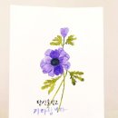 붓펜 수채 캘리그라피 중급 | [구리 롯데백화점 문화센터 수강생 작품] 수채캘리그라피 수업 후기 – 보랏빛 아네모네와 감성 글귀 작품