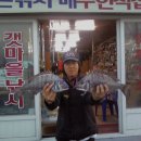 도명 이미지