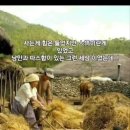 "전우가 좋아"---(893) "건강 이야기"---(366) (70대의 취미) &amp; (세종대왕의 리더쉽) 이미지