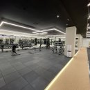 탑발란스휘트니스 이미지